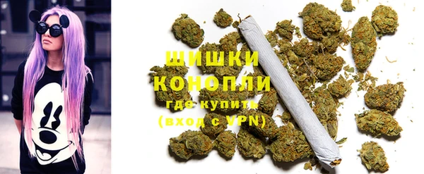 ALPHA PVP Белокуриха