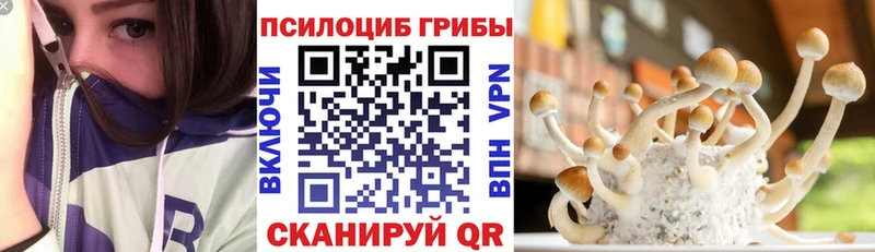 shop наркотические препараты  Дальнегорск  Галлюциногенные грибы Magic Shrooms 